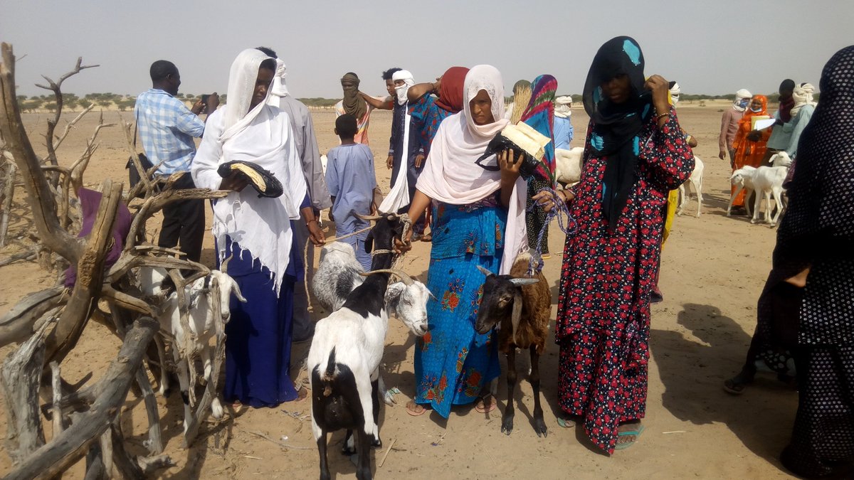 FAO au Niger tweet media