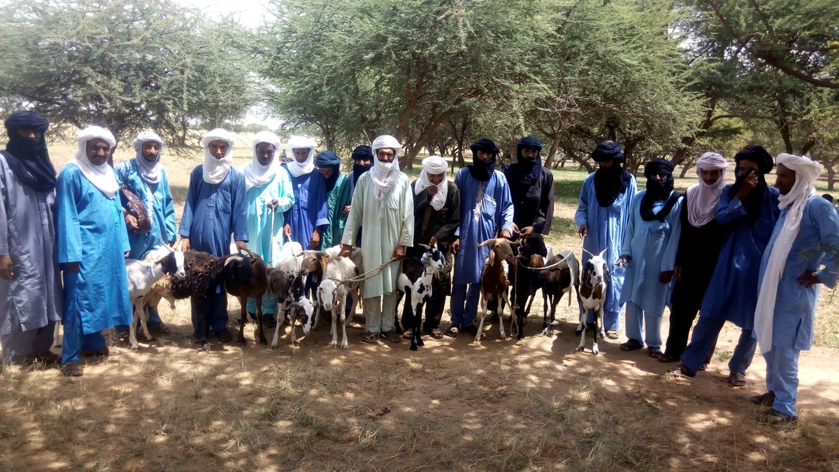 FAO au Niger tweet media