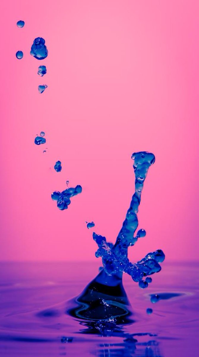 Under The Tree NFT tweet media