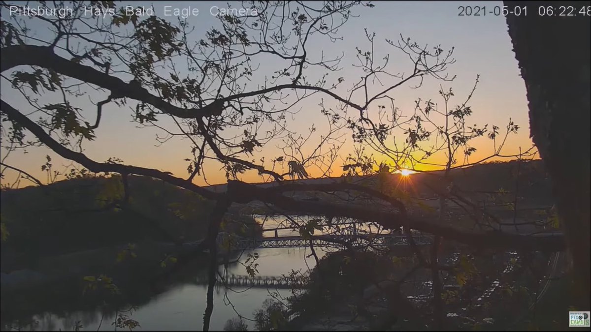 PixCams's tweet photo. Help the bald eagles and vote for the Monongahela River for PA's River of the Year!

https://t.co/lv0sp2Hn87

See our full post https://t.co/fRIbjHwSp7

#pixcams #baldeagles #haysbaldeagles #river https://t.co/4DsZqJMpxR