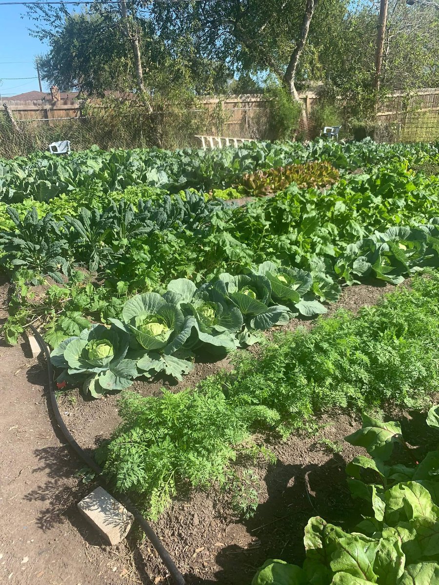 Grow Local South Texas tweet media