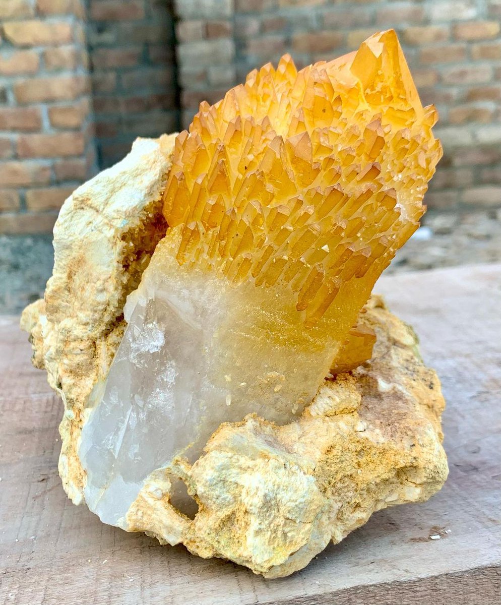 GeologyTime's tweet photo. A rare "Yellow Colour Quartz" on matrix. from Skardu Pakistan.

Photo: 𝐇𝐚𝐦𝐳𝐚 𝐌𝐢𝐧𝐞𝐫𝐚𝐥𝐬 𝐂𝐨𝐥𝐥𝐞𝐜𝐭𝐢𝐨𝐧

#minerals https://t.co/VVX0g2UAKv