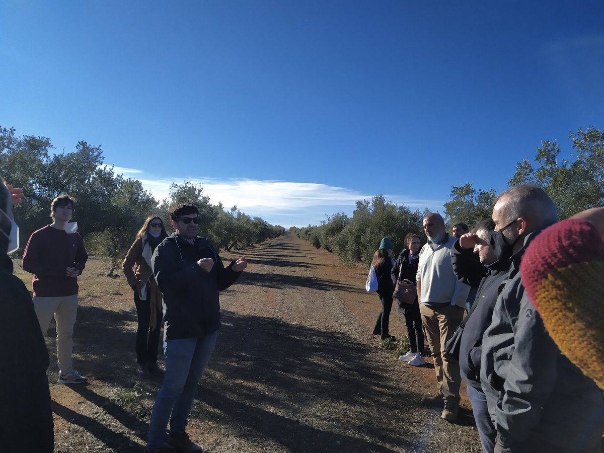 CMA SEO/BirdLife (@cma_seobirdlife) on Twitter photo Estamos en Jaén, en el #CongresoAnillamiento <a href="/SEO_BirdLife/">SEO/BirdLife</a> . Vamos a conocer el proyecto <a href="/olivaresvivos/">LIFE Olivares Vivos+</a> <a href="/FcoMCamacho/">Francisco M. Camacho</a> Estamos en Jaén, en el #CongresoAnillamiento <a href="/SEO_BirdLife/">SEO/BirdLife</a> . Vamos a conocer el proyecto <a href="/olivaresvivos/">LIFE Olivares Vivos+</a> <a href="/FcoMCamacho/">Francisco M. Camacho</a>