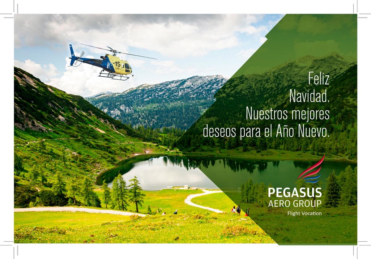 PegasusAeroG's tweet photo. #FelicesFiestas de parte de todo el equipo de #PegasusAeroGroup #FlightVocation https://t.co/0BEyH47dZ2