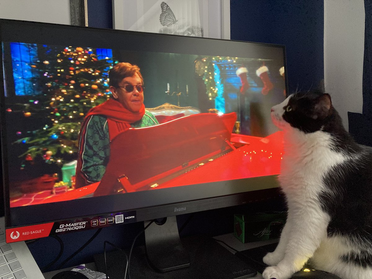 Really mother, AGAIN?! Yes cat again, can’t get enough of the new Christmas song by <a href="/eltonofficial/">Elton John</a> and <a href="/edsheeran/">Ed Sheeran HQ</a>, what absolute legends. I’ve got it playing on repeat whilst I’m revising for exams 🤣