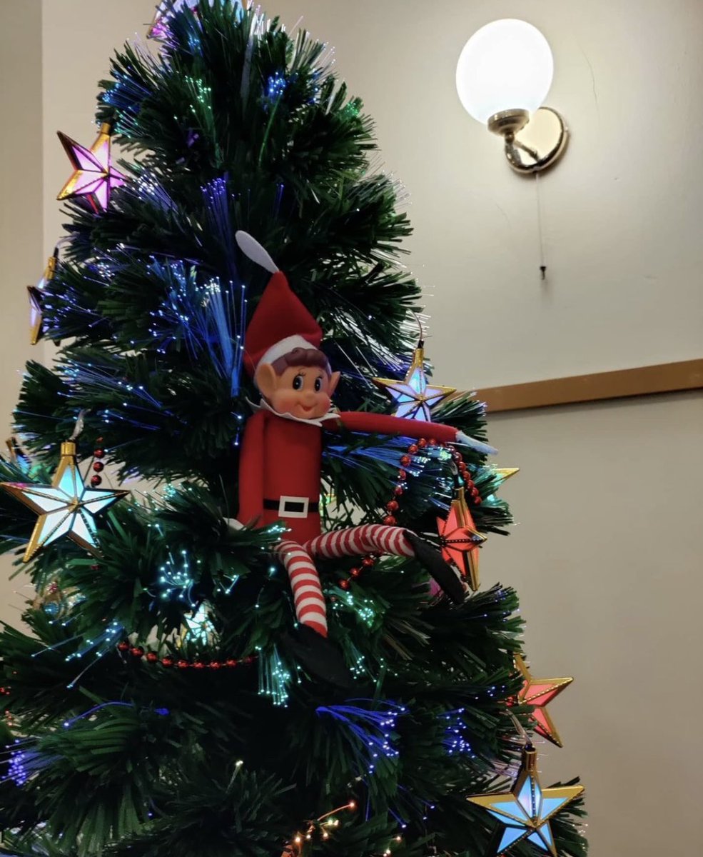 Busy day here @YHAChester today , with the Natural England Conference. Mr Elf is hiding in one of our trees & spreading the Christmas spirit to our lovely guests. 
#yhachestertraffordhall #chester #cheshire #naughtyelf #christmas #naturalengland #conferencecentre #yhalivemore