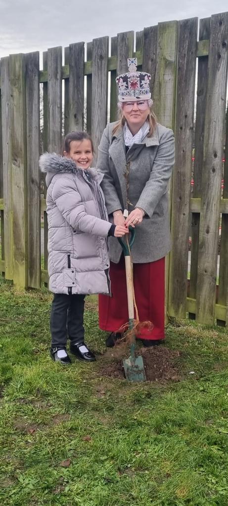 mandeville_AL1's tweet photo. Yr4 have planted 3 trees outside the school today as part of the "Queen's canopy" project to improve air quality. So nice of Her Majesty to join us! #queenscanopy #MakeADifference https://t.co/lZxkh67Hf5