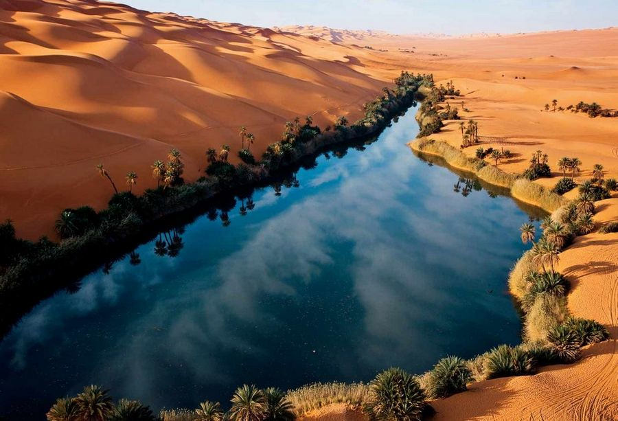 CouncilTourism's tweet photo. LIBYA
Celebrating the important efforts of Sustainable Biodiversity Conservation in Africa.#Libya #SustainableTourism #SustainableBiodiversity https://t.co/95cv6zixKf