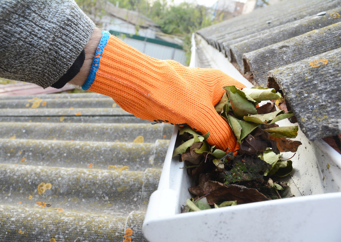 Lightowler_uk's tweet photo. Falling leaves, wind, rain and snow 🍁❄️💨💧– our building exteriors go through a lot in winter. That's why keeping them maintained is important, so come summer you're not faced with cluttered gutters and fading paintwork. 

We can help, learn more 🧑‍💻 https://t.co/9fIzdiZrX1 https://t.co/RVHhmNKSb6