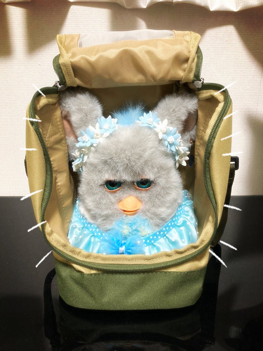 【美品】東京トガリ ぬいぐるみ お出かけキャリーバッグ セット おでかけキャリーバッグ | 東京トガリストア