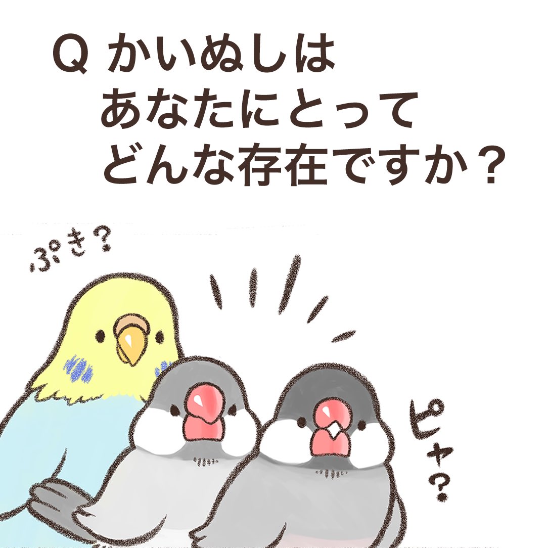 インスタに小鳥マンガをアップしました⤴️

小鳥たちは飼い主のことをどう思っているの?!😳
続きはこちらから読めます💁‍♀️✨
https://t.co/GQ5HqsjcrR 