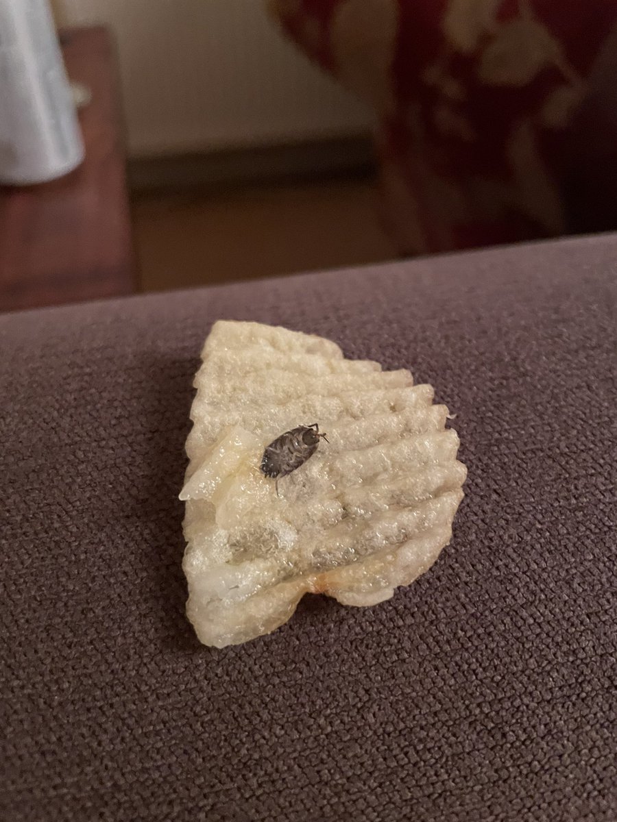 Lisa Breeze tweet media