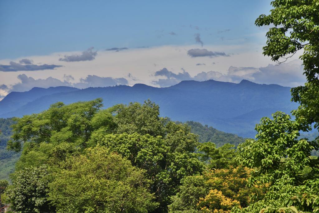 Barail Hills as seen from our kitchen balcony. Shot during midsummer of 2021