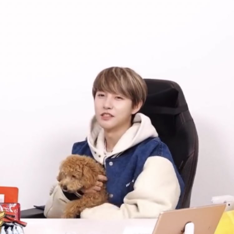 HRJVISUAL's tweet photo. introducing the puppy: V! https://t.co/jK9b2twoIJ