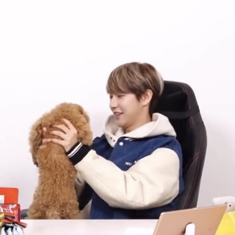 HRJVISUAL's tweet photo. introducing the puppy: V! https://t.co/jK9b2twoIJ