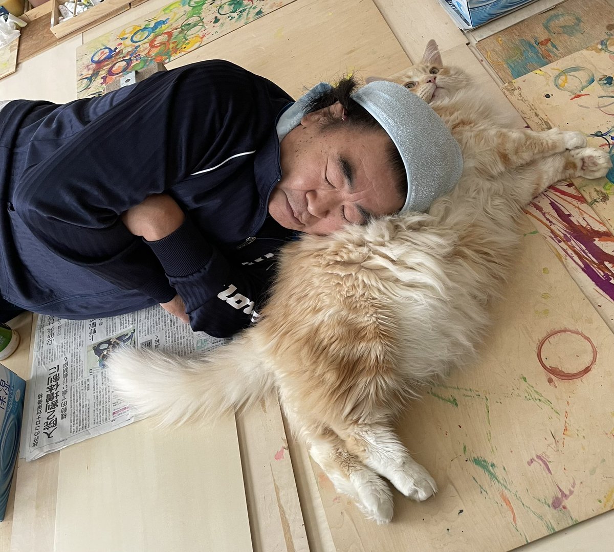JapanSeikan's tweet photo. チャーリー枕で一休み😅

オチオチ寝ていられないチャーリー🐈

#仏画師の仕事
#メインクーン https://t.co/d7nGk4p0vh