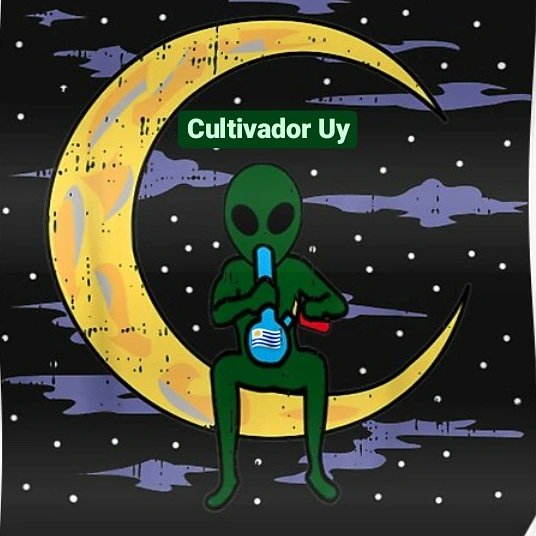 CultivadorUy🇺🇾 (@CultivadorUy) / Twitter CultivadorUy🇺🇾 (@CultivadorUy) / Twitter