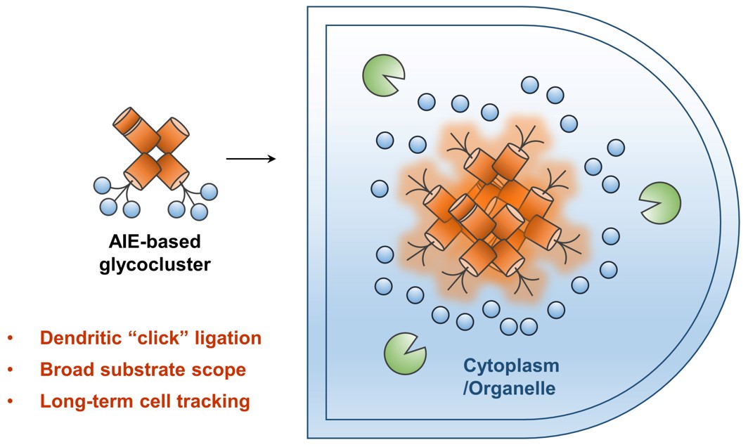 Sebastien Vidal (@sebvidalchem) on Twitter photo OH boy, paper accepted in <a href="/ChemicalScience/">Chemical Science</a>
That is a first for me !!!
So grateful to Dr Lei Dong who lead this project in close collaboration with Dr Xiao-Peng He (ECUST Shanghai).
Long paper in the making due to COVID situation.
<a href="/ICBMSLyon/">ICBMS Lyon</a> <a href="/ICSN_lab/">icsn_upr2301</a>
pubs.rsc.org/en/content/art… OH boy, paper accepted in <a href="/ChemicalScience/">Chemical Science</a>
That is a first for me !!!
So grateful to Dr Lei Dong who lead this project in close collaboration with Dr Xiao-Peng He (ECUST Shanghai).
Long paper in the making due to COVID situation.
<a href="/ICBMSLyon/">ICBMS Lyon</a> <a href="/ICSN_lab/">icsn_upr2301</a>
pubs.rsc.org/en/content/art…