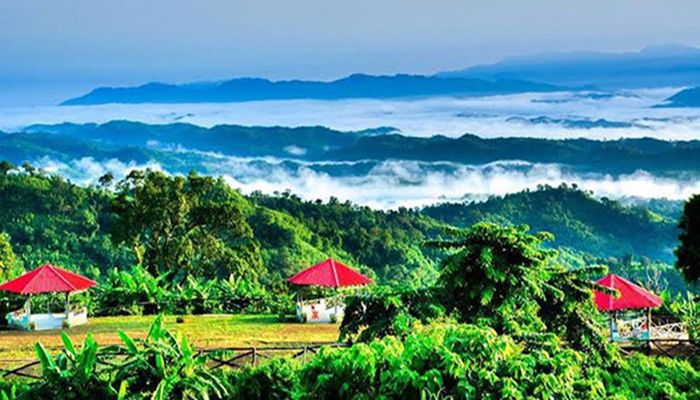 🇧🇩Muhammad Arif Hossen tweet media