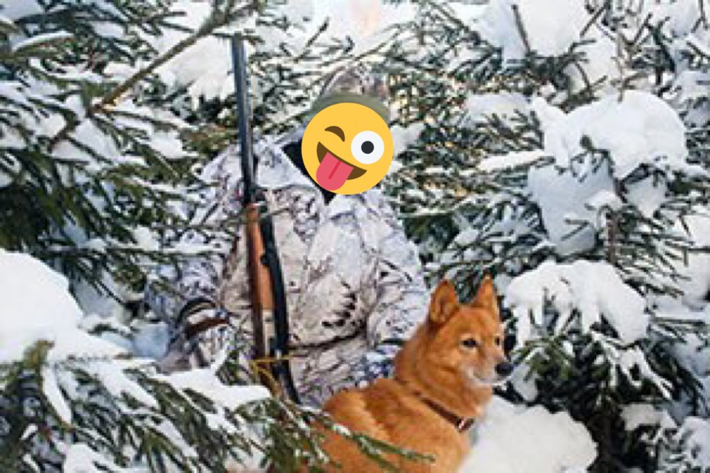 ISkinkis's tweet photo. Es ar savu draugu @peteris04 iesim medīt Baltkrieviju imigrantus lai neielavas Latvijas Republikas teritorija
Lai Dievs ir ar mums 🙏

@TVNET_zinas @DelfiLV https://t.co/hCiuBx24HX