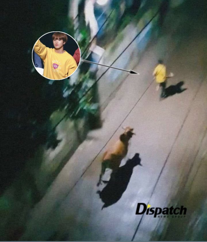 nctzenbase's tweet photo. neozen tolooongg haechan dikejar kerbau😱 🏃🏻🐃 https://t.co/krpZOeo3R7
