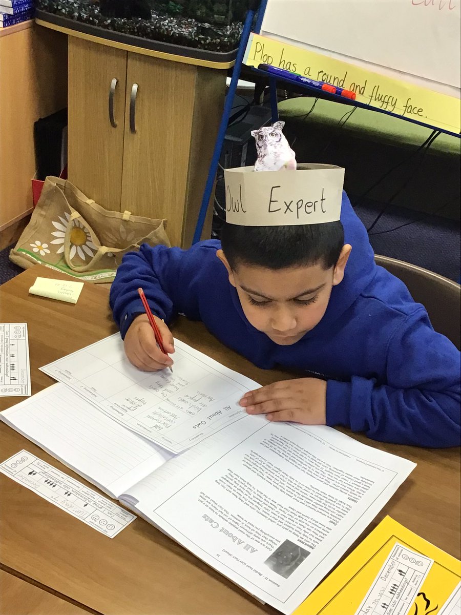 Christletonpri's tweet photo. We have some amazing owl experts in year 2.
#year2writing #cpswriting @TheLCUK https://t.co/7X8u4Cobo0