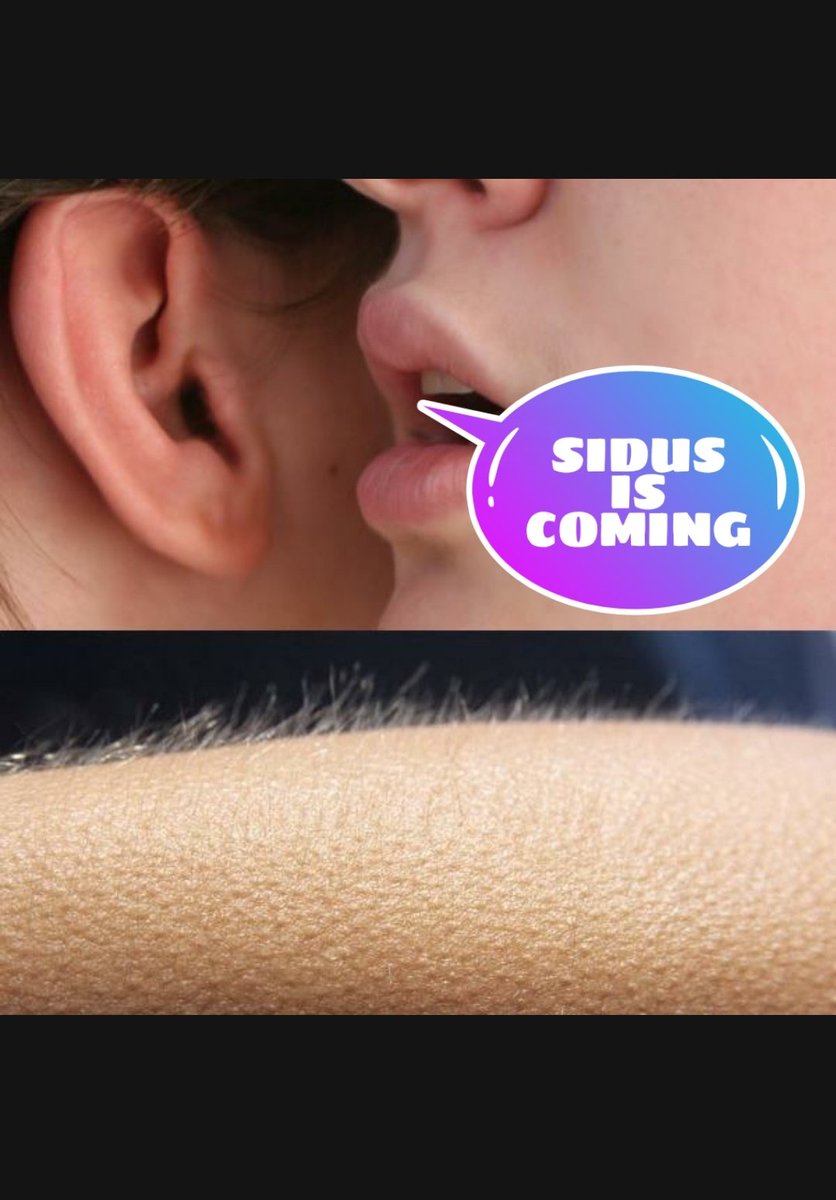 BTCTammy's tweet photo. @dci_crypto @galaxy_sidus Again
#SIDUSMEME https://t.co/uXkO00ASLn