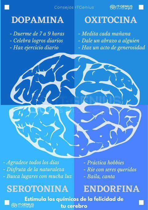 ¿Cuáles son las 4 hormonas de la felicidad?