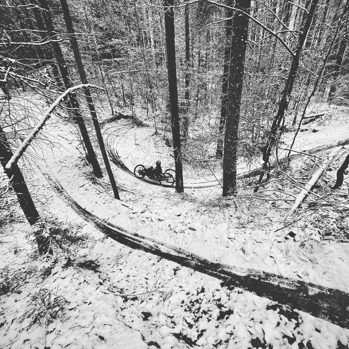 MichalKosk1's tweet photo. B&W #firstsnowride #mtb #WheelchairUser https://t.co/EWXYF1WppJ
