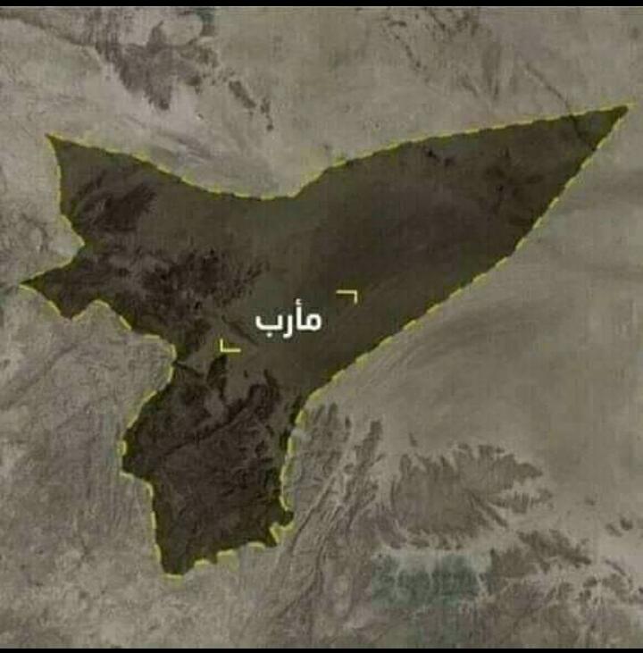غمدان غالب02304-319 tweet media
