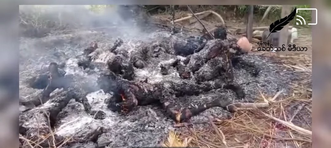 GRAPHIC WARNING: Sickening act of some 11 people burnt &amp; killed in #Myanmar #SagaingRegion. <a href="/Khithitofficial/">Khit Thit Media</a> reporting some were shot dead before being set on fire while others were burnt alive. This as military foreign minister visits, meets #Cambodia PM #WhatsHappeningInMyanmar