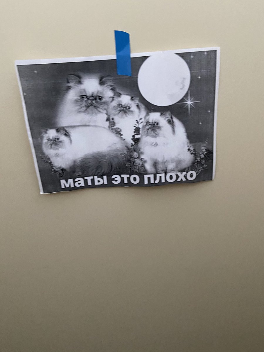 jusenish's tweet photo. украсила школьные сральнки https://t.co/gzfL4rwBJ7