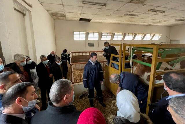 Eind november vond de afronding plaats van het samenwerkingsproject van Nederland en #Algerije gericht op moderne #melkveehouderij. De betrokken partijen kijken met tevredenheid terug op de projectperiode <a href="/NLagriAlgiers/">NL AgriFood Algeria</a> ow.ly/Z0jA50H57r7