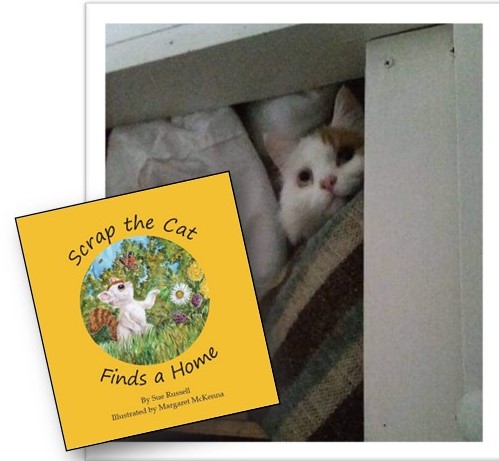 scrap_cat's tweet photo. On a cold &amp; windy day like today while we await #StormBarra, Scrappy would always find a cosy spot to hunker down! Get your copy from @choicepublish1, @candlelightbooks or ask your local bookshop to order for you. https://t.co/ijRbVl06rp