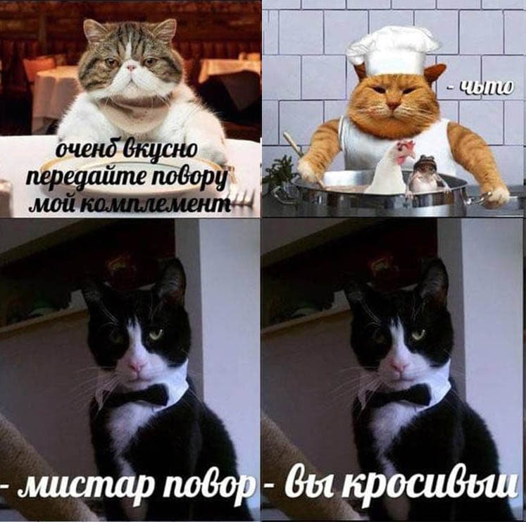 RussianMemesLtd's tweet photo. this food is delicious
give my compliments to the chef

- mr chef

what

- you're a handsome man https://t.co/SI10EvolS9