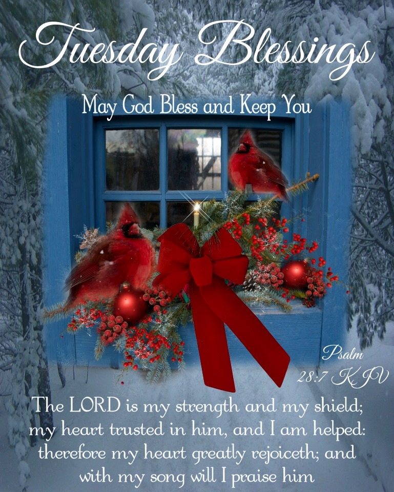His Cornerstone, LLC tweet media