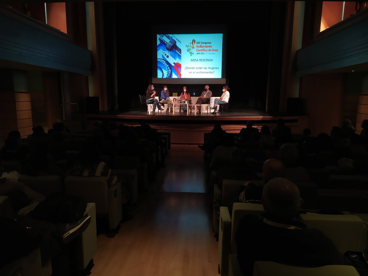 SEO_BirdLife's tweet photo. 🤗🥳Gracias a todas las personas que han hecho posible esta edición del Congreso de #Anillamiento Científico de Aves en Jaén, especialmente a organizadores, patrocinadores, colaboradores y asistentes.⤵️
@AnillamientoSEO @ujaen @RedElectricaREE @FcoMCamacho https://t.co/yXh5Odkx5j https://t.co/uL7gSEmgTG