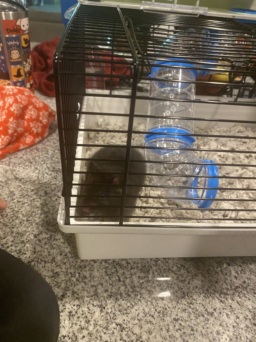 Kori Haverstick tweet media