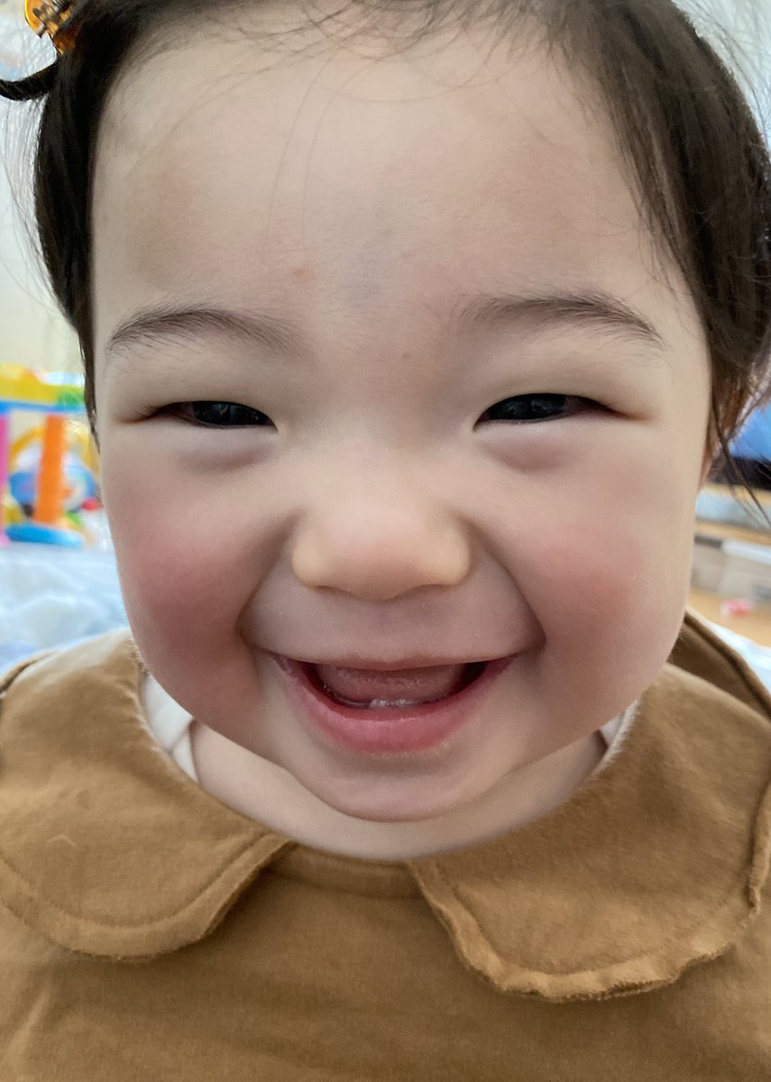 sinoyy's tweet photo. かわいすぎるよ、でんくん。
11ヶ月になったでんくんは、リズムにノリノリでのれるし、ボール投げて取ってきて、渡してくれるよ。階段も登れるよ。すごいんだよ。寝るとき以外、ずっと歩いてるよ。大きくなるんだよ。、 https://t.co/k8s6UT6p26