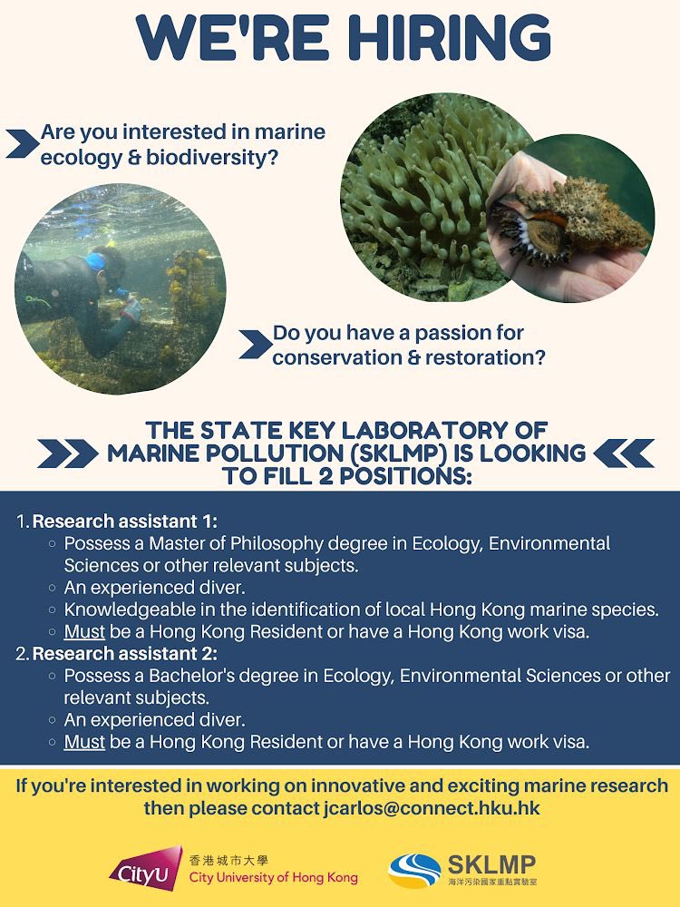 #jobopening  @Marine_SKLMP is hiring! Do you have the right to work in HK? Are you a passionate scientist and diver? Join us to #restore the #marine env! Contact Dr. Astudillo for application: jcarlos@connect.hku.hk

#job #hongkong #oyster #conservation #ocean #marinejob  #hiring