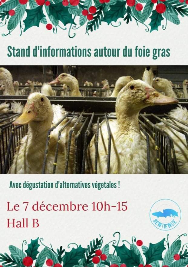 SentienceRennes's tweet image. On vous attend dans le hall du bâtiment B pour une dégustation de foie gras végétale et pour répondre à vos questions ! 🦆❤️