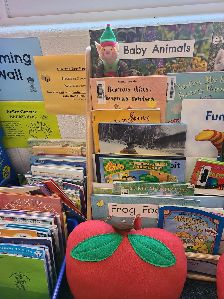 Snowy found our library! #gibcal