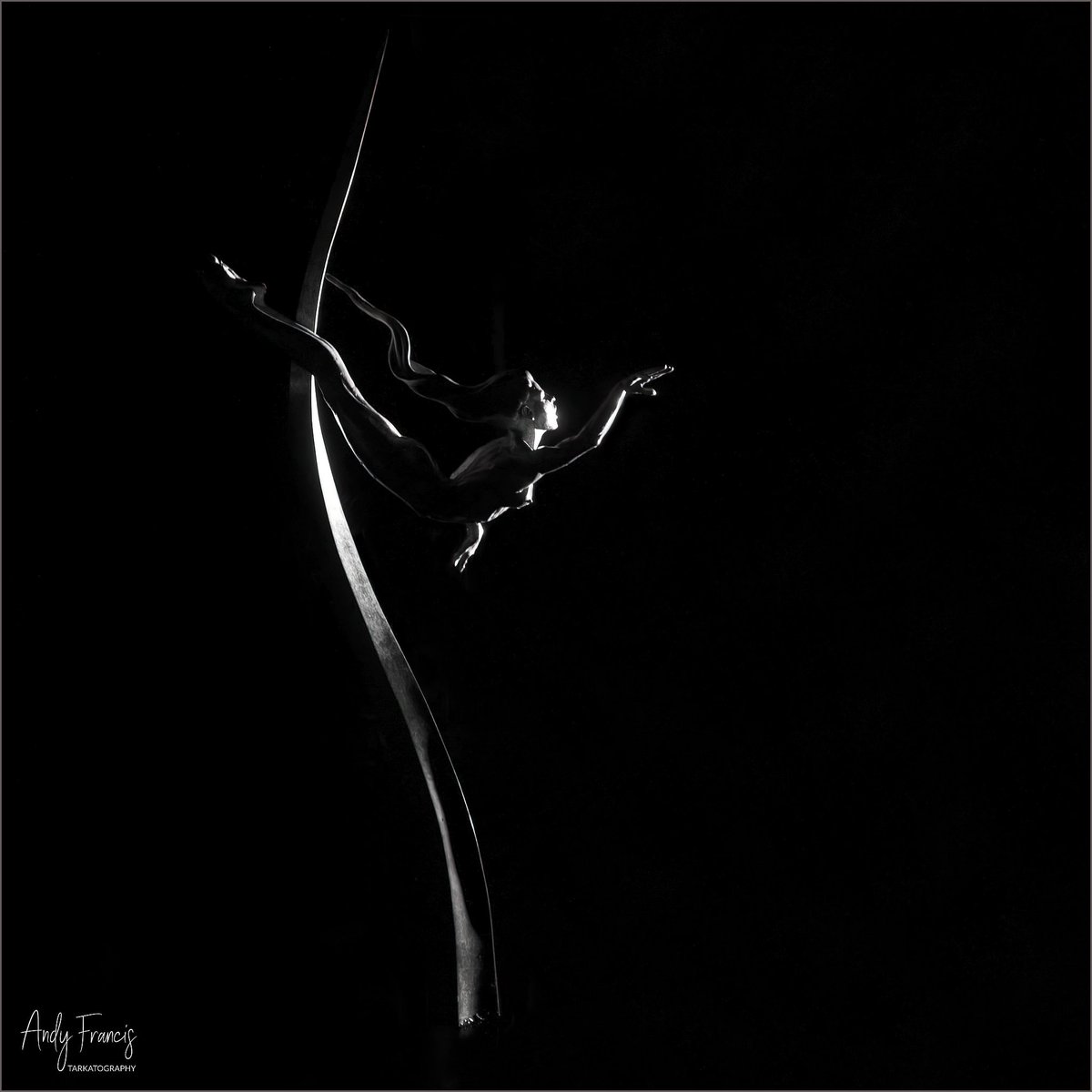 A few black and whites of the amazing sculptures found  <a href="/RHS_Rosemoor/">RHS Garden Rosemoor</a> at the wonderful night glow event... #rhsrosemoor #northdevonimages #aplaceinnorthdevon