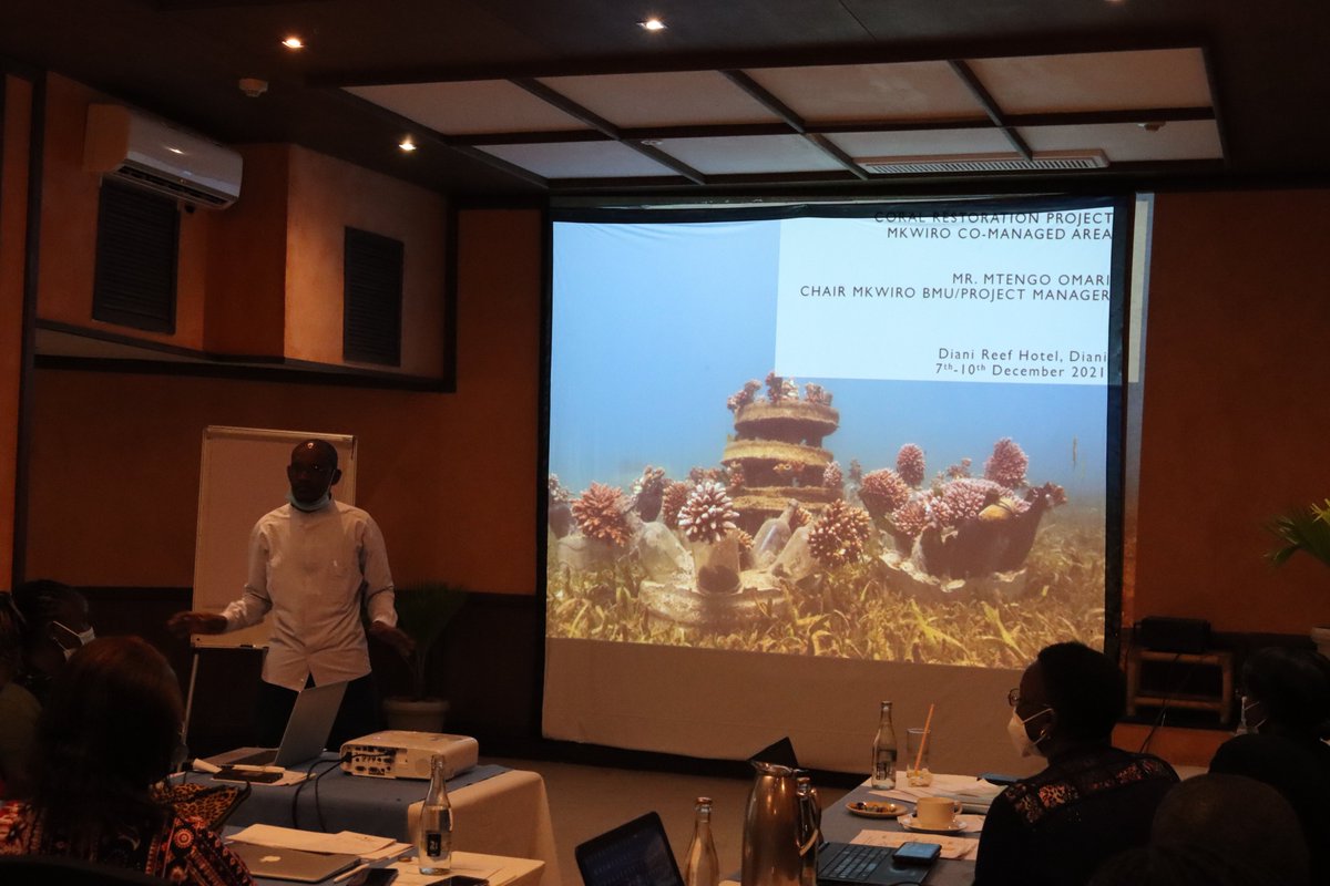 SgpGef's tweet photo. Interesting presentations of the projects implemented in the seascape on key achievements lessons learned, and discussions on ways to improve project implementation going forward to #OP7 https://t.co/qUgyVtubQe