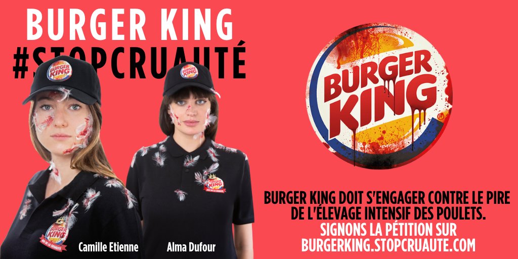 L214's tweet photo. 📢 @CamilleEtienne_, activiste pour la justice sociale et climatique, et @alma_dufour, porte-parole des @amisdelaterre, ont décidé d’utiliser leur voix pour dénoncer les pratiques cruelles de @BurgerKingFR.

Ensemble, mettons fin à cette cruauté 👉 https://t.co/YrGgoXcPtC https://t.co/bUGocahzp6
