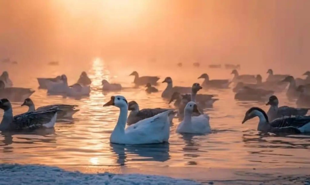 ‏أنوار بين مطالب tweet media