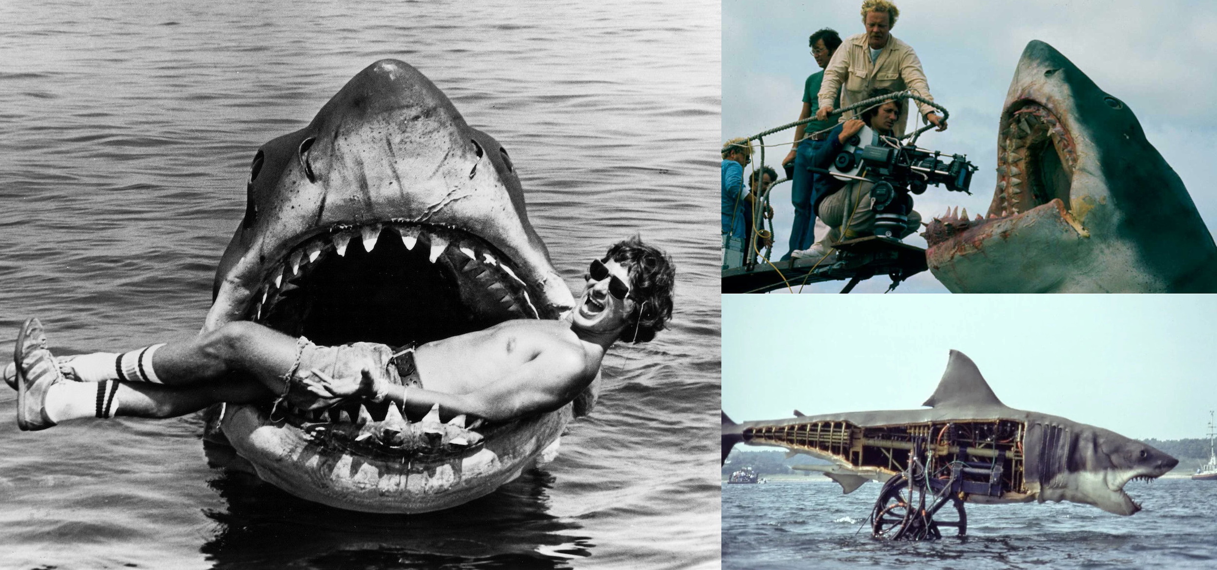 FilmPhonic on Twitter: "#TriviaTuesday: The unreliable mechanical shark  used in 1975's 'Jaws' dubbed “Bruce”—named after Spielberg's lawyer—was one  of three made at a cost of around $250,000 each, around 10% of the