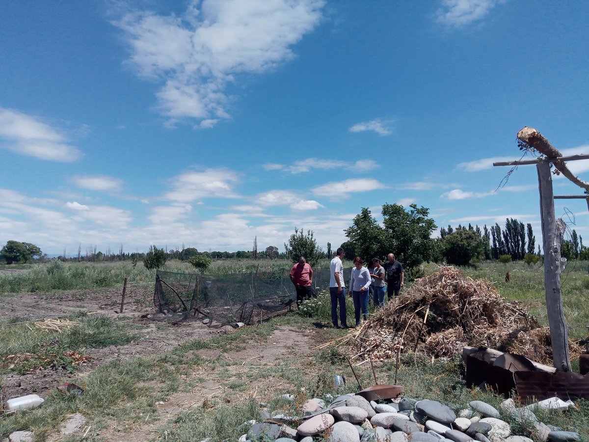 WillkakutiSR's tweet image. 🌿#Willkakuti🌞 capacitó en hierbas aromáticas, microorganismos del suelo, abono orgánico ,  alternativas tecnológicas y sistemas de riego a #LosClavelesFusión 🌿

✨Gracias por el segundo encuentro✨

#programadeautonomiaalimentaria
#plandeemergenciaalimentaria 
#tumunicipio