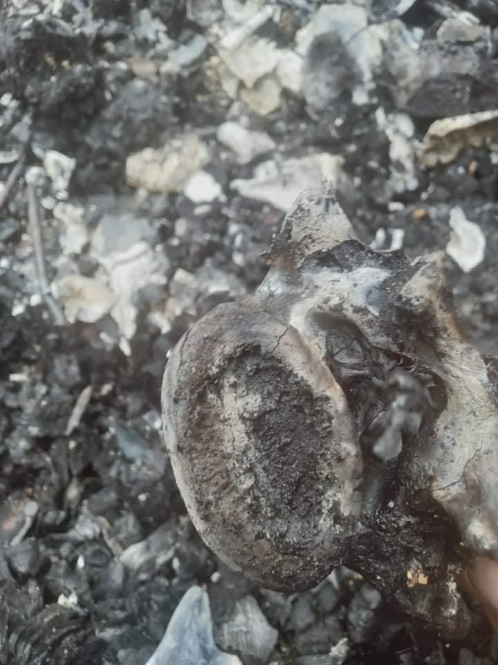 nslwin's tweet photo. Kalemyo, Sagaing Region:

SAC Terrorists abducted 24-year-old Lal Ro Mawi from Than Pho village on Dec 4 at 8 am while planting. He was used as a human shield and later burned to death in O Myay Htoo village 

The family found his remains today morning. 

#WhatsHappeningInMyanmar https://t.co/ucF3iScHVt
