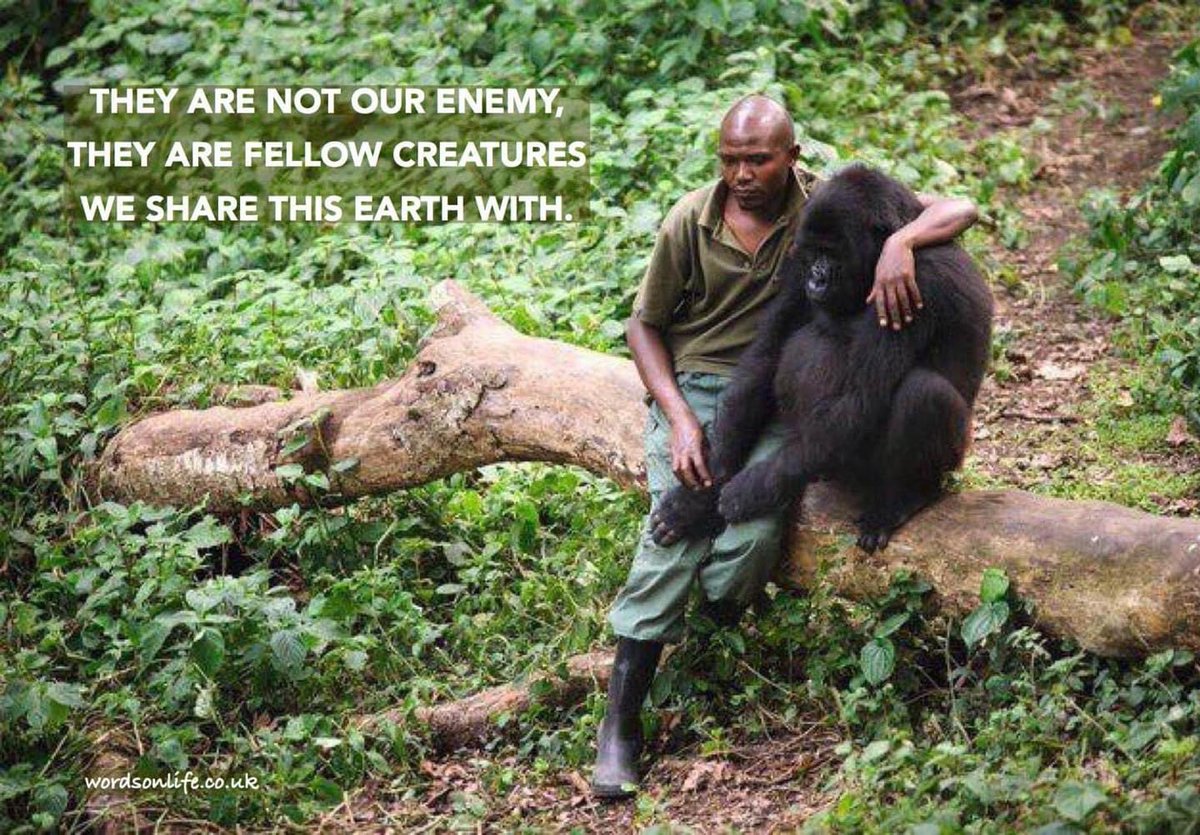 TrophyXpose's tweet photo. Yes, when are we going to treat all of the Earth’s other species with kindness instead of greed…. 💔
#KindnessMatters
#KindnessIsKey

@zbleumoon @AgainstHunting @Angelux1111 @SARA2001NOOR @LiftForever67 @PhaedraXTeddy @Nenagh9 @DidiFrench @Veganella_ @JunagarhMedia @Mastino1111 https://t.co/xkUM2LebpQ